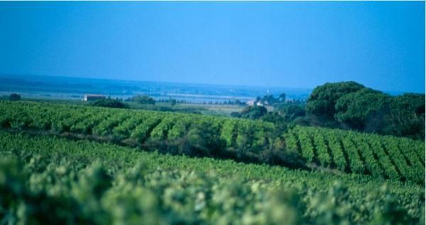Voici quelques photos de notre beau département, entre Provence et Languedoc, entre Camargue et Cévennes. 