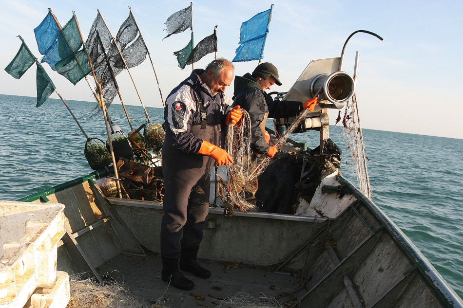 Sortie en mer du 19 Août avec Anthony, à bord de son bateau "La Pomme". 
