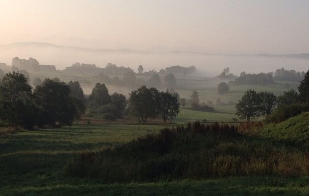 Ce matin, le jura...