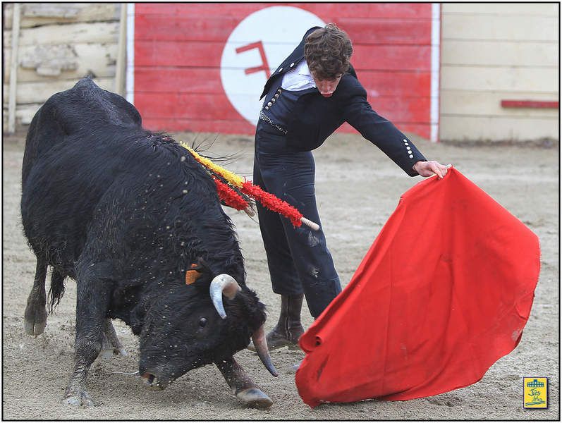 DIAPORAMA DE LA FAENA DE FERNANDO REY