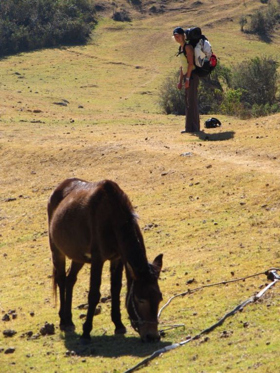 Album - PERU-1