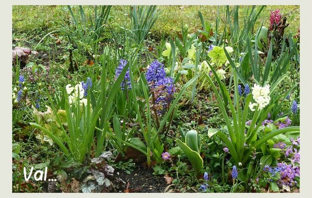 Associations au jardin.