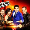 "The Voice : la plus belle voix" les auditions à l'aveugle continuent ce soir à 20h50 sur TF1