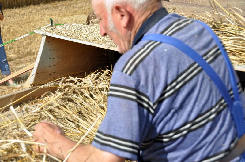 La moisson hier et aujourd'hui