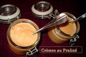 Crèmes Ultra Rapides au Praliné