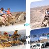 Abu Galum Safari Tours desde Sharm El Sheikh