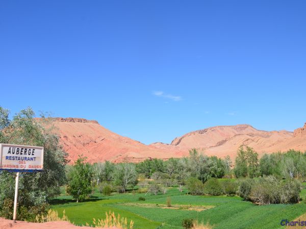 Gorges du Dadès (Maroc en camping-car)