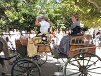 Mouriès, Fête des Olives vertes 3/6