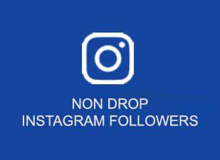 get non drop real instagram followers india