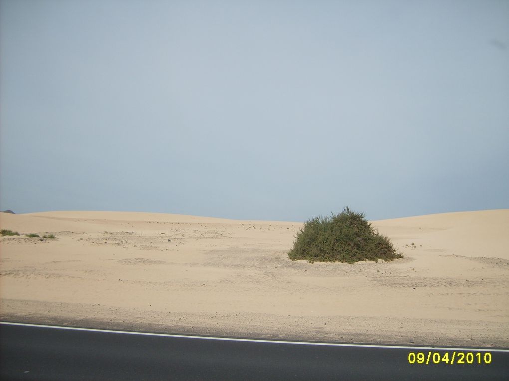 Album - vacances-chez-bea-a-fuerteventura