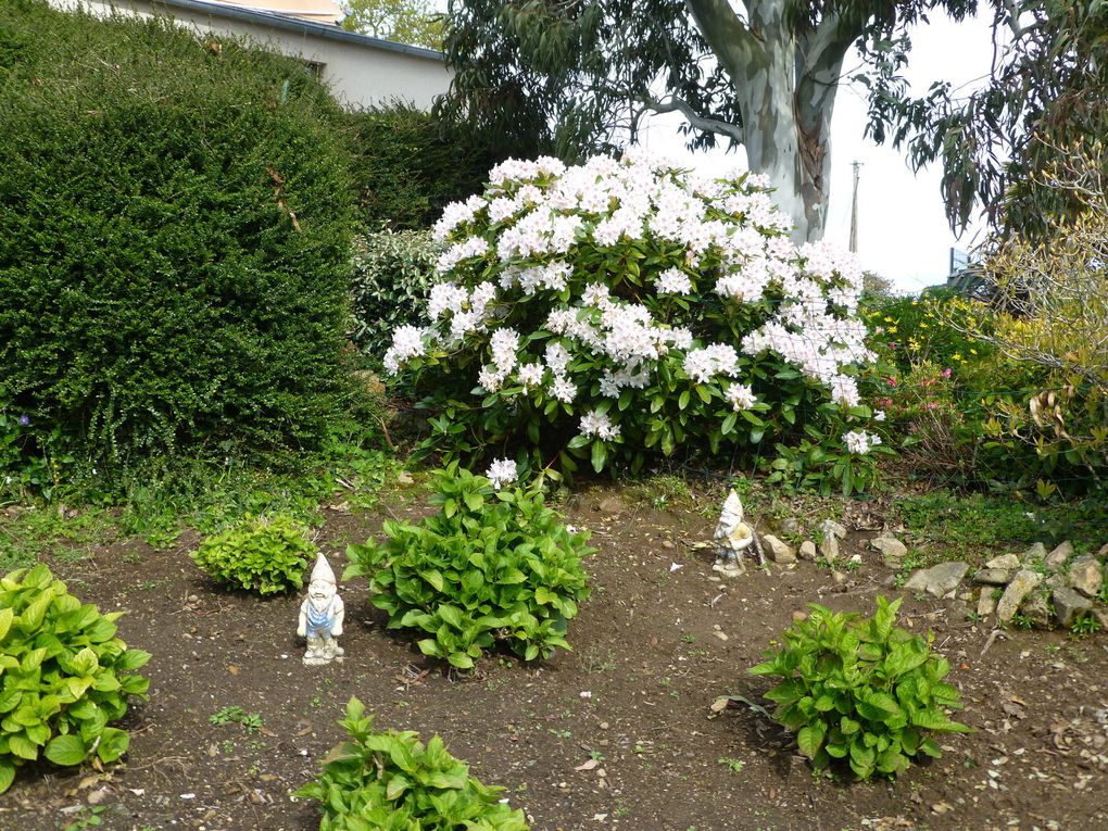 Froid et humide mais la journée m'a réservée de belles surprises. Le chemin de St Jacques n'est jamais loin et les bretons sont très inspirés dans la décoration des jardins!!