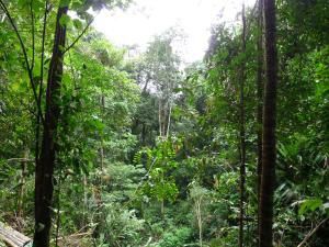 WE chargé et ensoleillé ! Au programme, papote, farniente, piscine, bronzette, ptites bouffes, cuisine de nouvelles découvertes culinaires, rando en forêt (L'Amazonie, le pied !), plage et baignade !