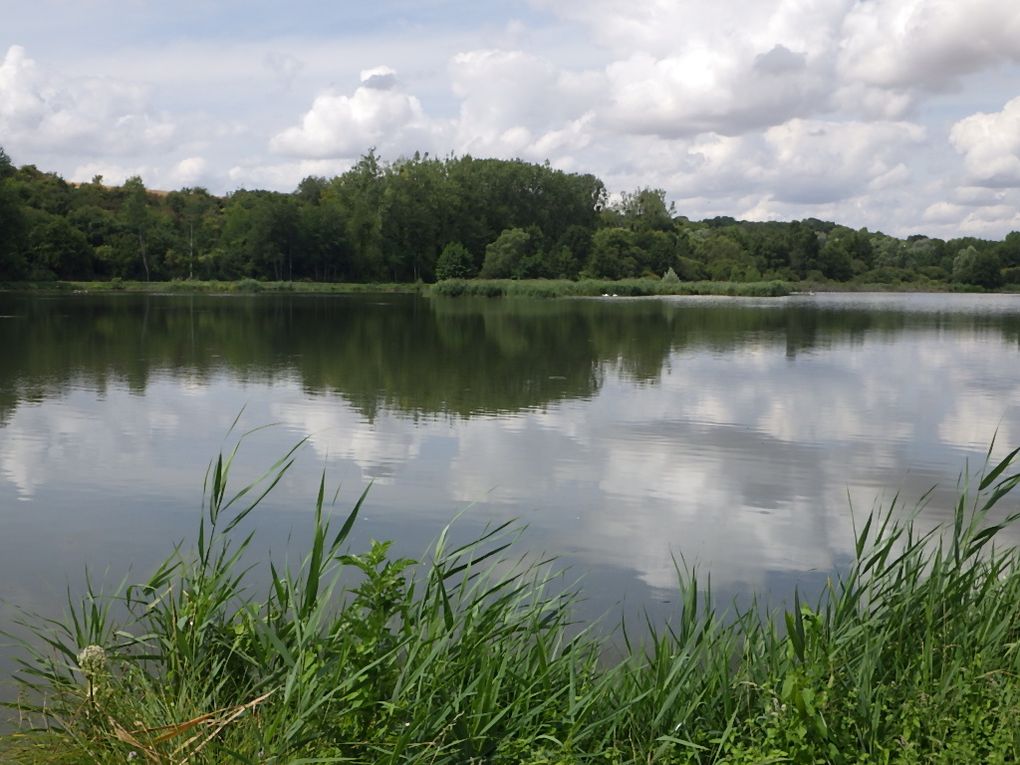 L'Etang de Vallières