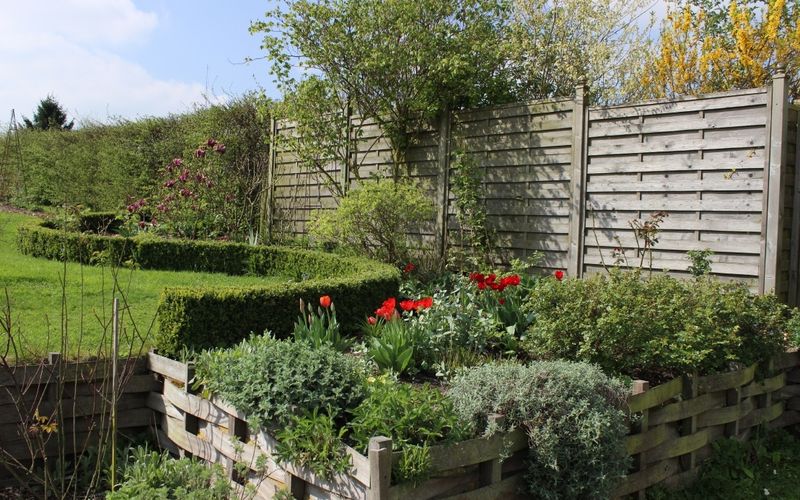 Tour du jardin (2)