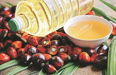 Indonesia Edible Oil Market Overview 2021: Regional Growth, Analysis, Recent Trends and Forecast 2026