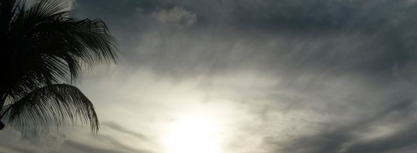 Un chantre de l'île Maurice : Paul-Jean Toulet.