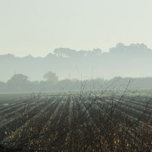 J.48 Azumbuja - Santarem : 32 km