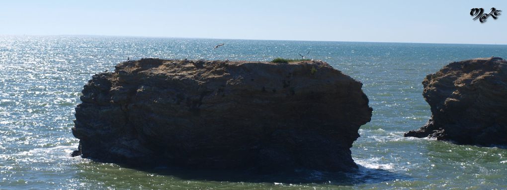 3km de côte rocheuse entre St-Hilaire-de-Riez et St-Gilles-Croix-de-Vie (85)