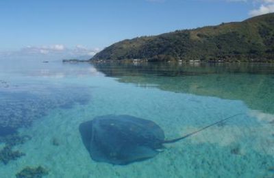 Le lagon de Tahiti pk 30