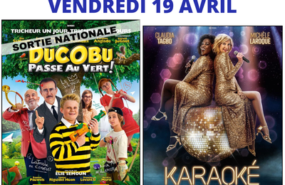 Affiches cinéma de Pays  et cinéma de Vinon sur Verdon et l'agenda des programmations 