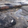 PLAGE D'HIVER 2