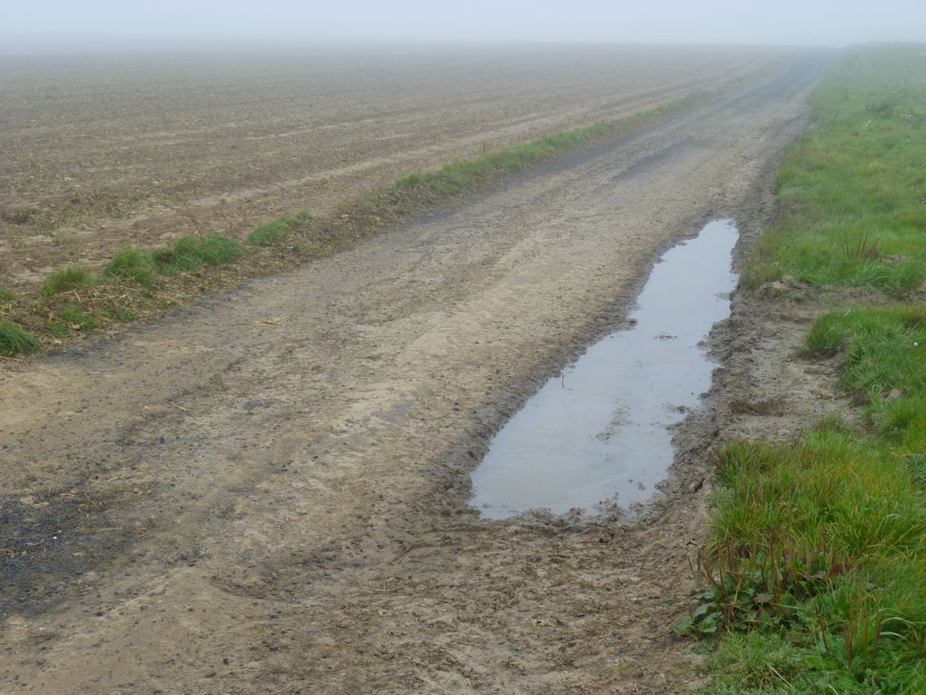 Album - ZAC_Chemins_agricoles_dégradés