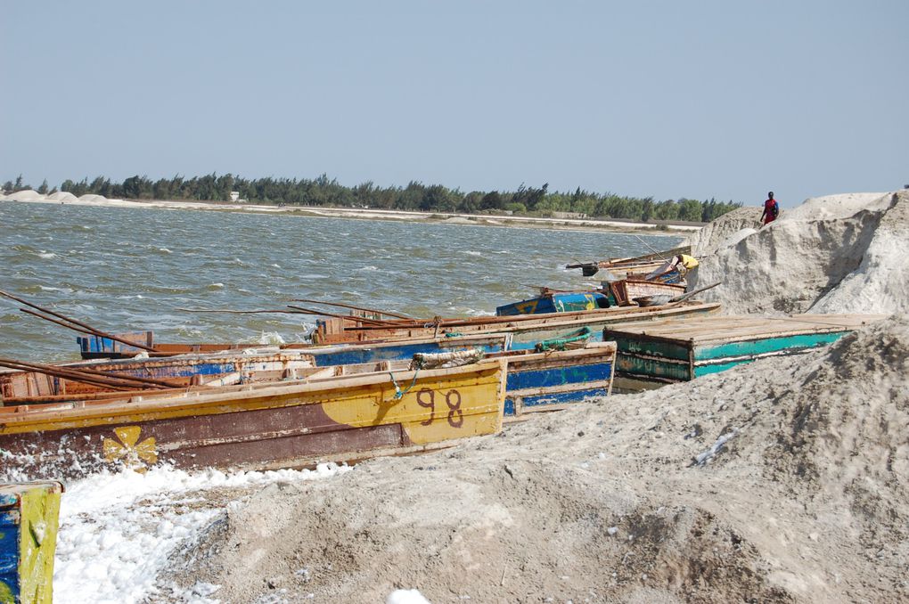 L'album de notre voyage au Sénégal en janvier 2014, le premier mais nous espérons qu'il y en aura d'autres tant ce pays est attachant.