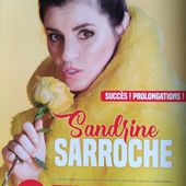 Sandrine Sarroche au Palais des Glaces - carabistouille.over-blog.com