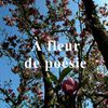 A Fleur de Poésie de Sylvain Grivotte