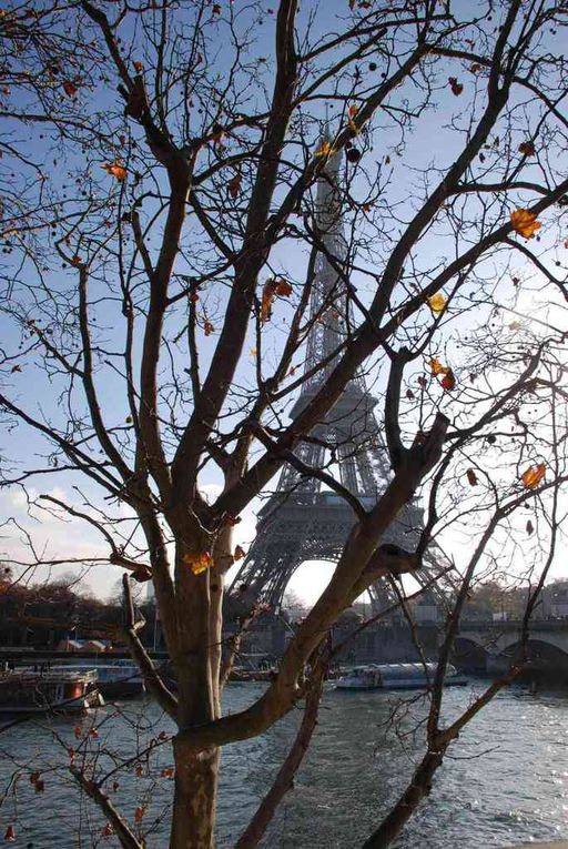 Parisienne par nature