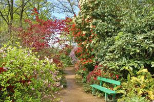 Parc botanique de Cornouaille