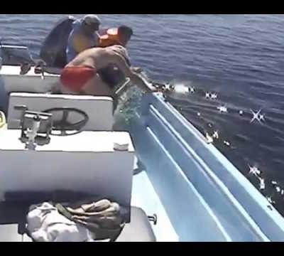 Bel exemple ... à méditer