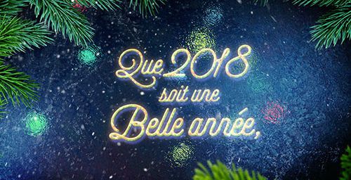 BONNE ANNEE 2018