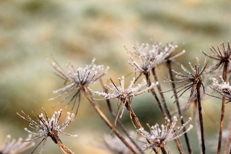 Album - givre-2013