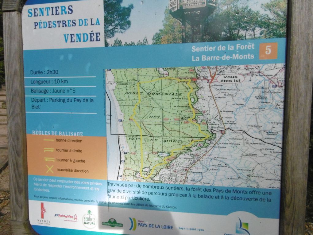 carte Forêt domaniale Montoise- gr8 - Héron nidifiant en observation - le Pey de la Blet -