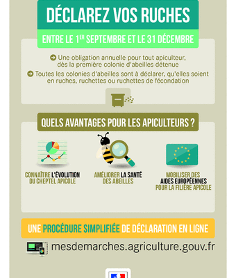 Déclarer des ruches en 2024