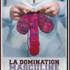 La Domination masculine (2007)