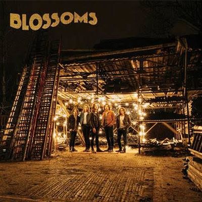  BLOSSOMS - 1er album éponyme - sortie le 5 août 2016 / CHANSON MUSIQUE / ACTUALITE