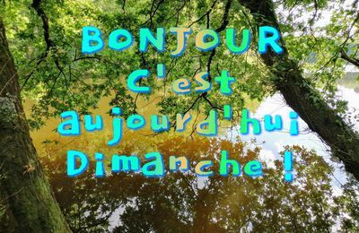 Chouette c'est dimanche 