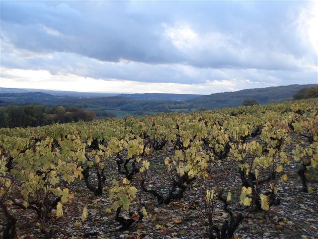 Randonnée culturelle à la mine de lignite de Soblay