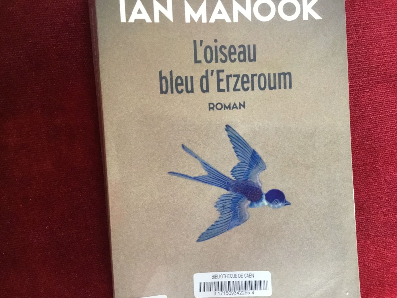 Ian Manook « L’oiseau bleu d’Erzeroum »