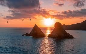 Sortie Fabregas 2026