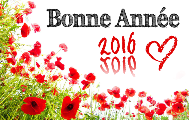 Bonne Année 2016