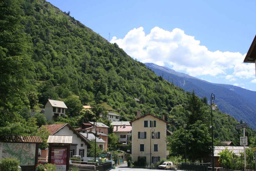 nettoyage d'une chataigneraie a saint-sauveur sur tinée