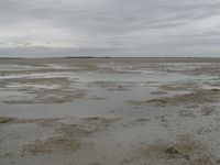 La plage au Crotoy, une rue de Saint Valéry, Saint Valéry et la baie, le cap du Hourdel, balade à vélo vers Cayeux.