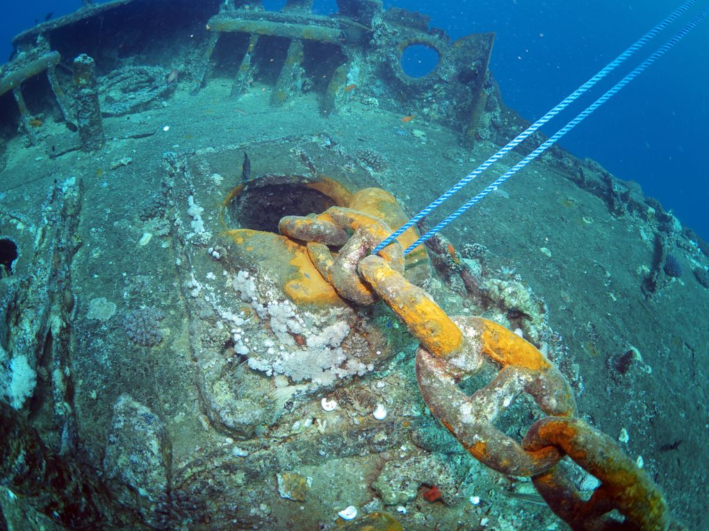 Croisière Nord, mars 2012