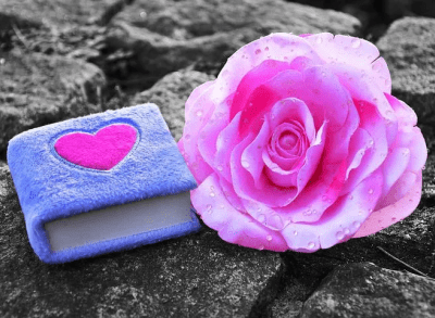 Mon mois émoi : Liens février 2022