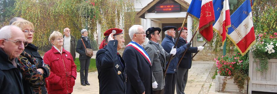 Cérémonies du 11 novembre 2015. Les paras de l'UNP sur tous les fronts