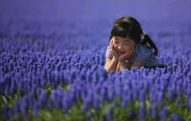 "La vue, l'ouïe et le goût", extrait de La Gnose Chinoise.