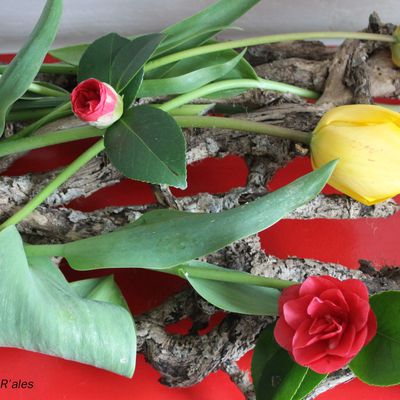 Eclats de tulipes